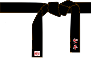 Passage de Grades en club